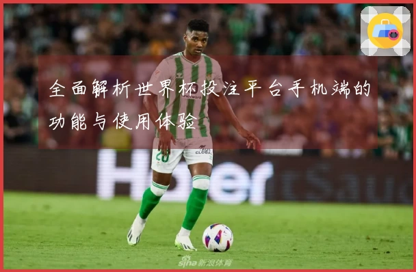 全面解析世界杯投注平台手机端的功能与使用体验