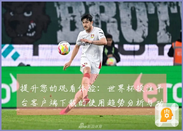 提升您的观看体验：世界杯投注平台客户端下载的使用趋势分析与功能介绍