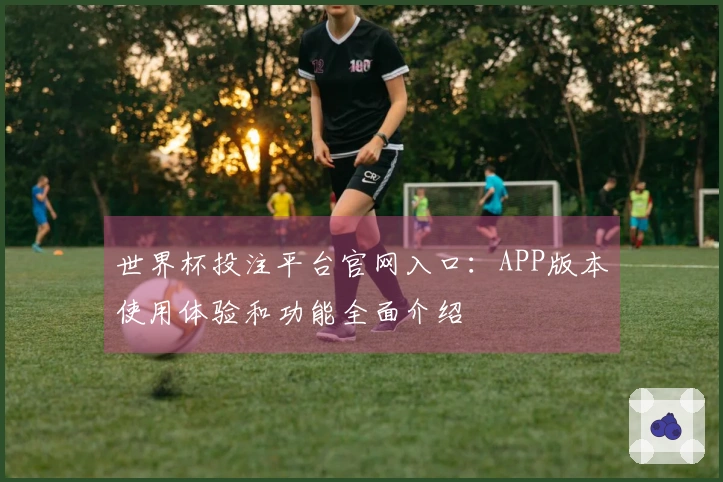 世界杯投注平台官网入口：APP版本使用体验和功能全面介绍