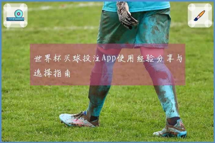世界杯买球投注App使用经验分享与选择指南