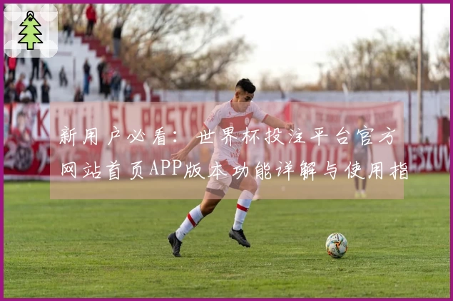 新用户必看：世界杯投注平台官方网站首页APP版本功能详解与使用指南
