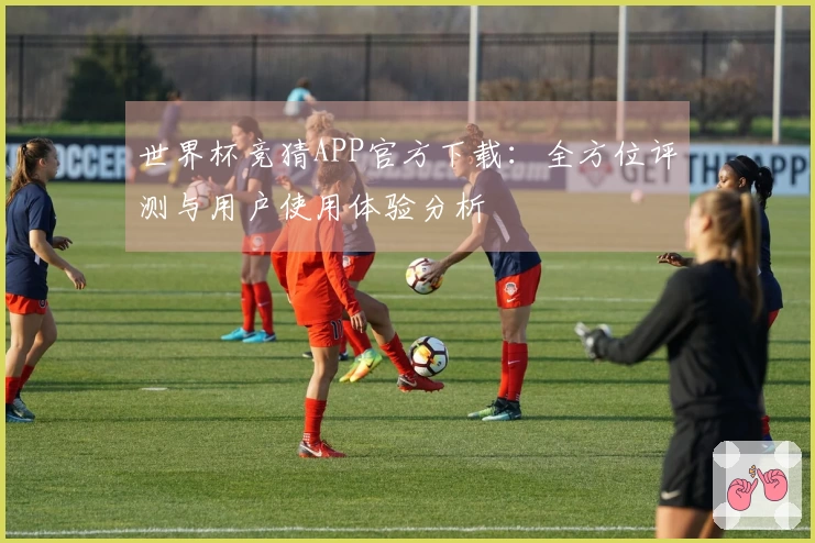 世界杯竞猜APP官方下载：全方位评测与用户使用体验分析