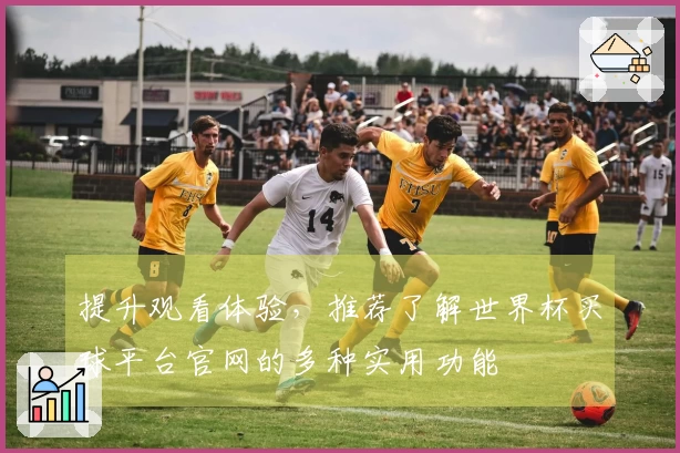 提升观看体验，推荐了解世界杯买球平台官网的多种实用功能