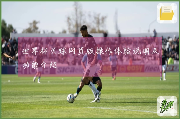 世界杯买球网页版操作体验说明及功能介绍