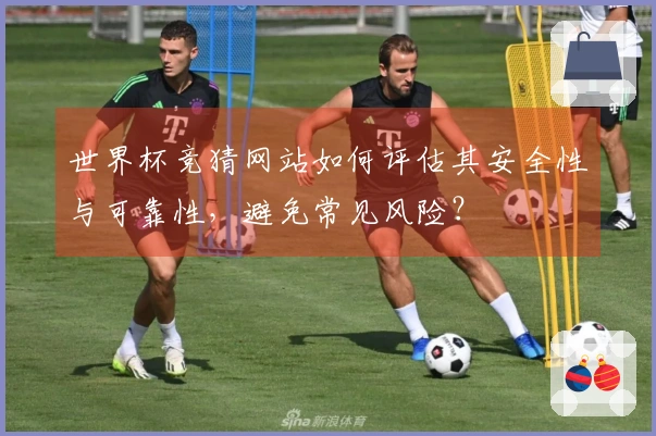 世界杯竞猜网站如何评估其安全性与可靠性，避免常见风险？