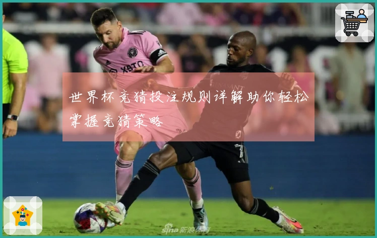 世界杯竞猜投注规则详解助你轻松掌握竞猜策略