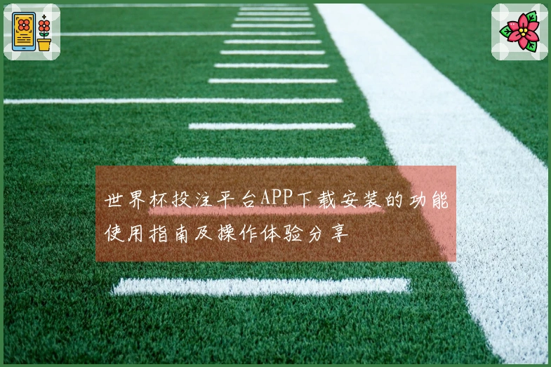 世界杯投注平台APP下载安装的功能使用指南及操作体验分享