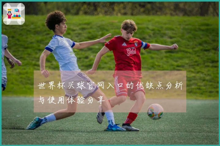 世界杯买球官网入口的优缺点分析与使用体验分享