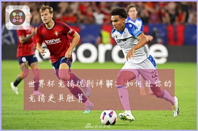 世界杯竞猜规则详解：如何让你的竞猜更具胜算