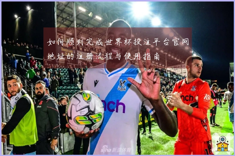 如何顺利完成世界杯投注平台官网地址的注册流程与使用指南