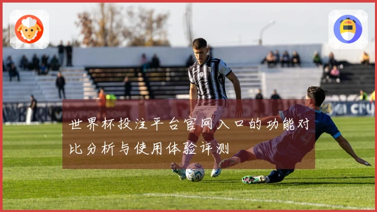 世界杯投注平台官网入口的功能对比分析与使用体验评测